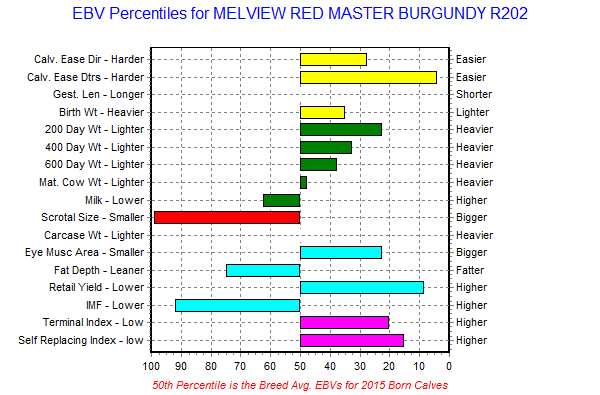 MELVIEW RED MASTER BURGUNDY R202 EBV