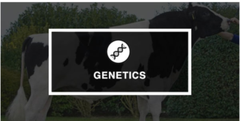 Beef Genetics