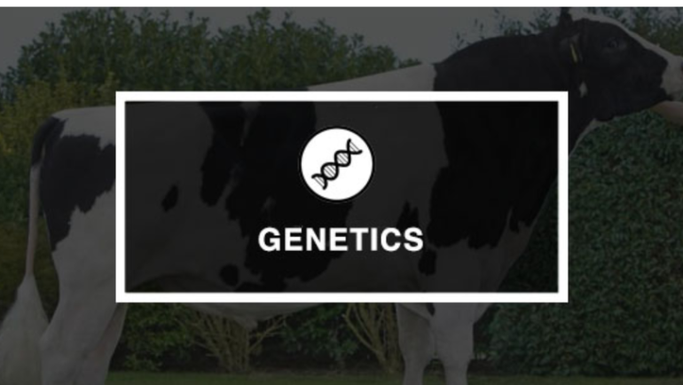 Beef Genetics Online Portal Launch