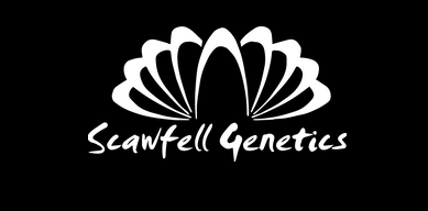 Scawfell Genetics Logo